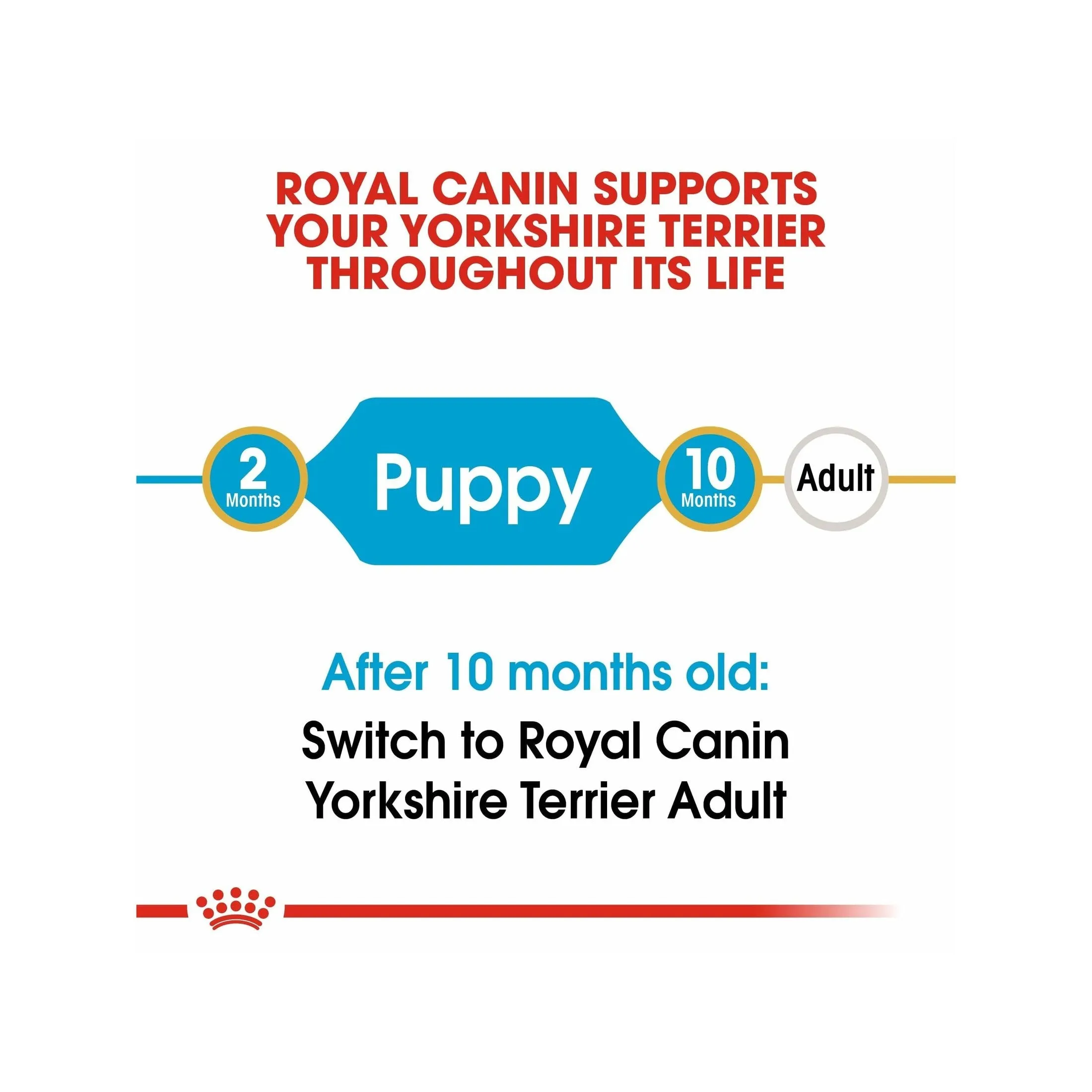 Breed Health Nutrition Yorkshire Puppy 1.5 Kg