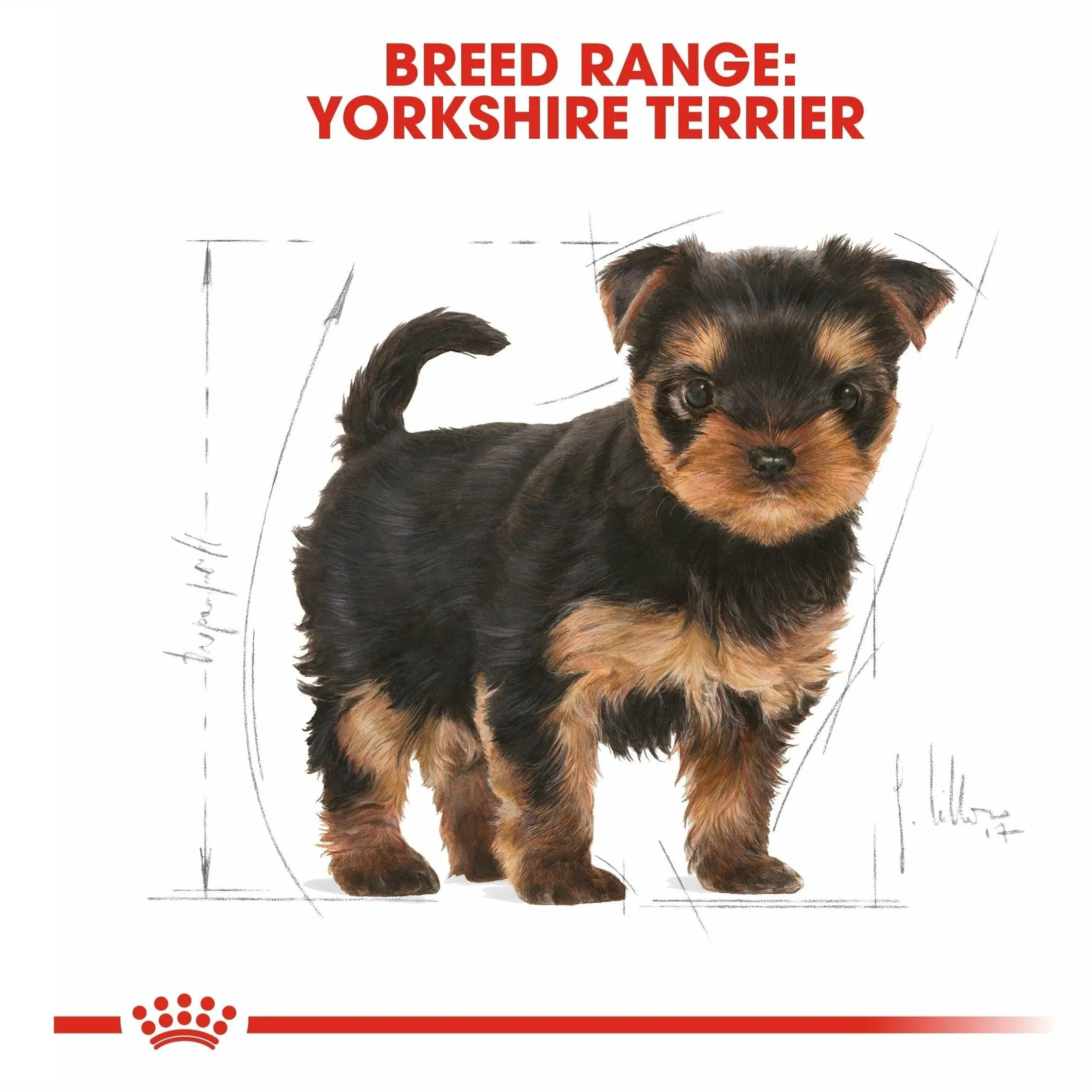 Breed Health Nutrition Yorkshire Puppy 1.5 Kg