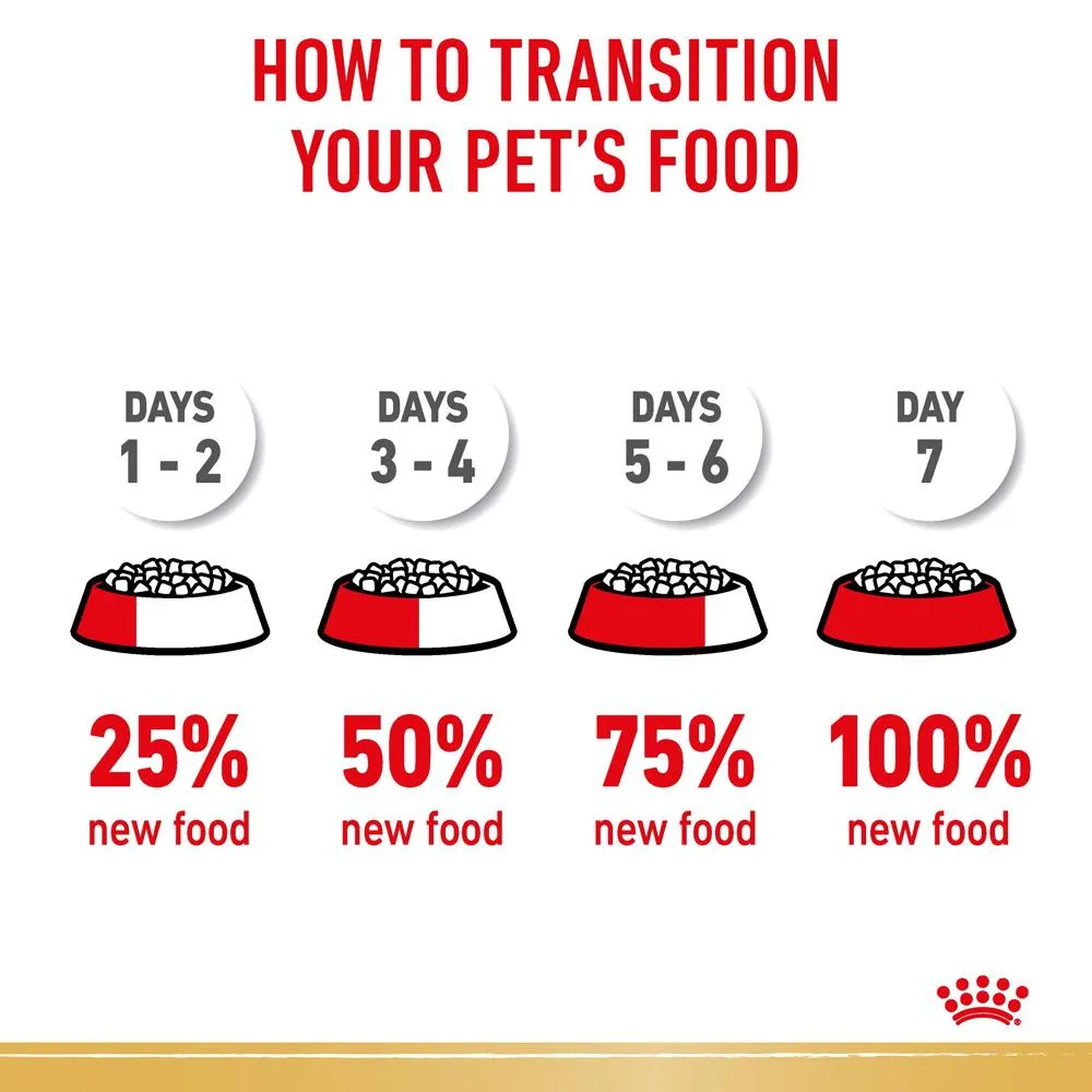 Royal Canin Jack Russell Adult Dry Dog Food