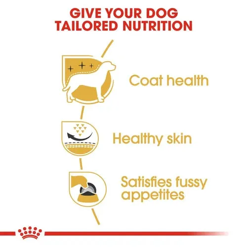 Royal Canin West Highland White Terrier Adult/Mature Dog Dry Food