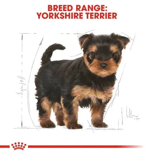 Royal Canin Yorkshire Terrier Puppy Dry Pet Food For Dogs