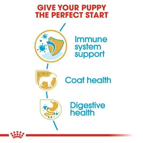 Royal Canin Yorkshire Terrier Puppy Dry Pet Food For Dogs